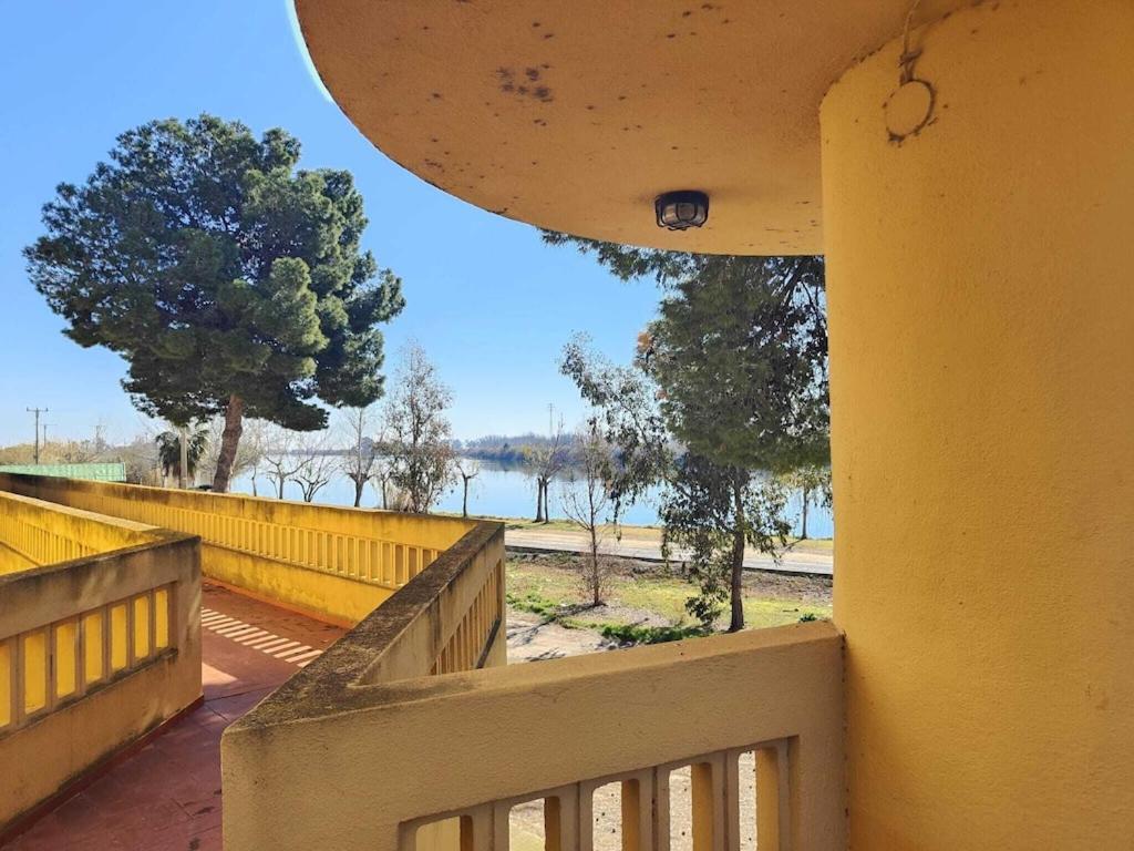 Superbe Appartement Terrasse Entierement Renove Au Bord De L'Ebre Deltebre Ngoại thất bức ảnh