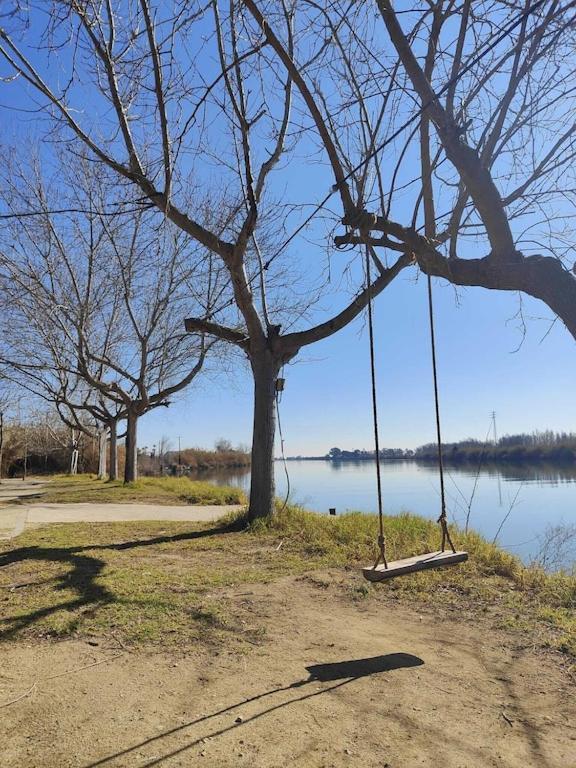 Superbe Appartement Terrasse Entierement Renove Au Bord De L'Ebre Deltebre Ngoại thất bức ảnh